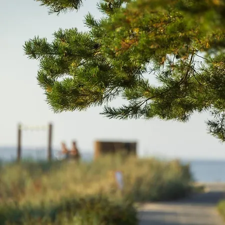 شقة فندقية Reute Residentsid 4*